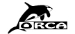 Orca